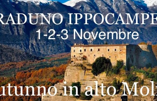🍂Raduno Ippocamper 🍂